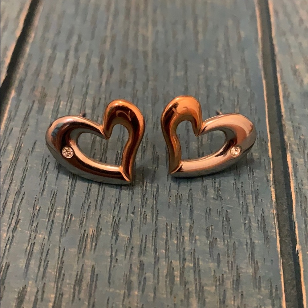 Italian Stainless Steel Earrings